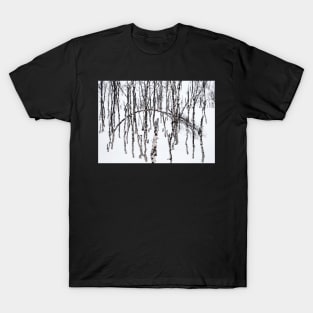 Norwegian wood T-Shirt